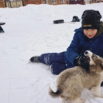 Слот The Dog House - игровой автомат с тематикой собак