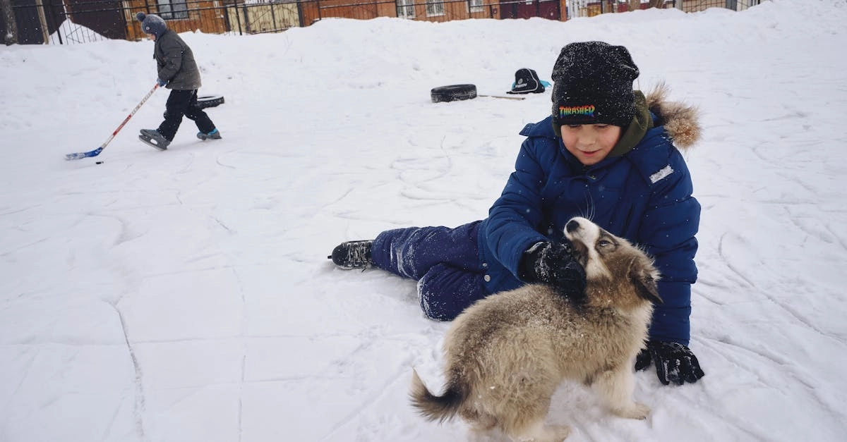 Слот The Dog House - игровой автомат с тематикой собак