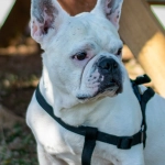 Программы лояльности казино без депозита - сравнение и анализ предложений